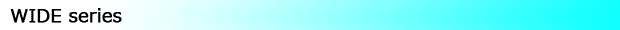 index_WIDE