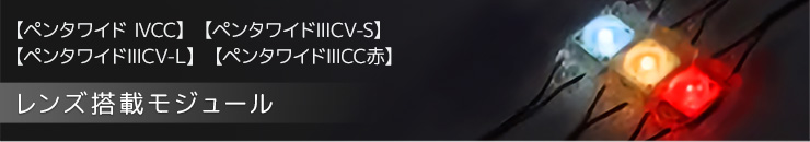 ¥ì¥ó¥ºÅëºÜ¥â¥¸¥å¡¼¥ë