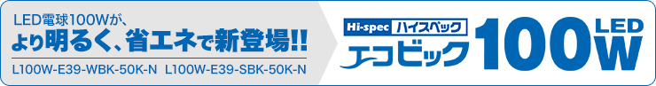 ハイスペックエコビック100W