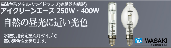 MT400DL/BH || 高演色形メタルハライドランプ 岩崎電気 アイクリーン