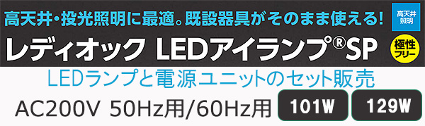 LDRS-H400/2B || LEDランプ 岩崎電気(IWASAKI) レディオックLEDアイ 