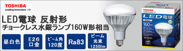 LDR100/200V13N-H || LEDバラスト水銀灯型電球 東芝 高い防水性能 明る 