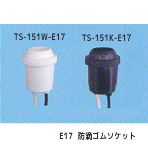 TS-151W-E17