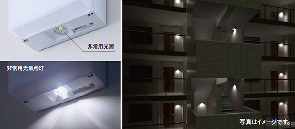 NWCF59611 LE1 || LED非常用照明器具 Panasonic 防雨型ブラケット階段