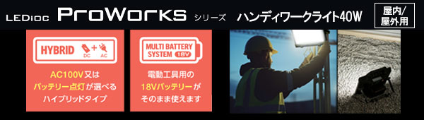 岩崎電気 レディオックプロワークス