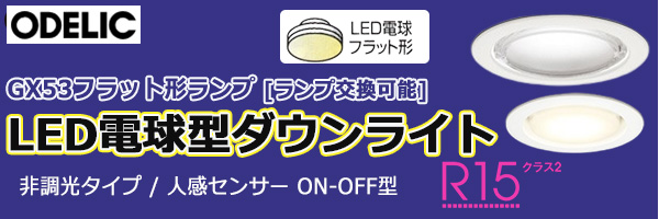 OD361204LDRS || LED電球型ダウンライト ODELIC [非調光/埋込穴φ100]高