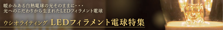 ¥·¥ç¡¼¥±¡¼¥¹ÍÑ·Ö¸÷Åô