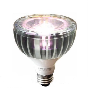 商品出荷レポート