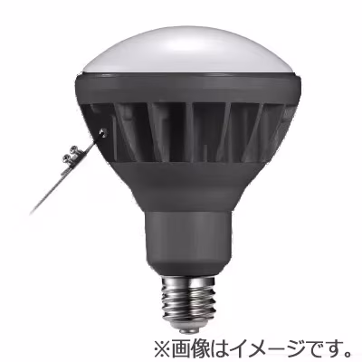 商品出荷レポート