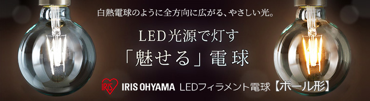 ڥꥹޡLEDեŵʥܡýڡϤ