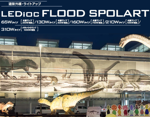 ڴŵۥܡ ǥå եå ݥ顼