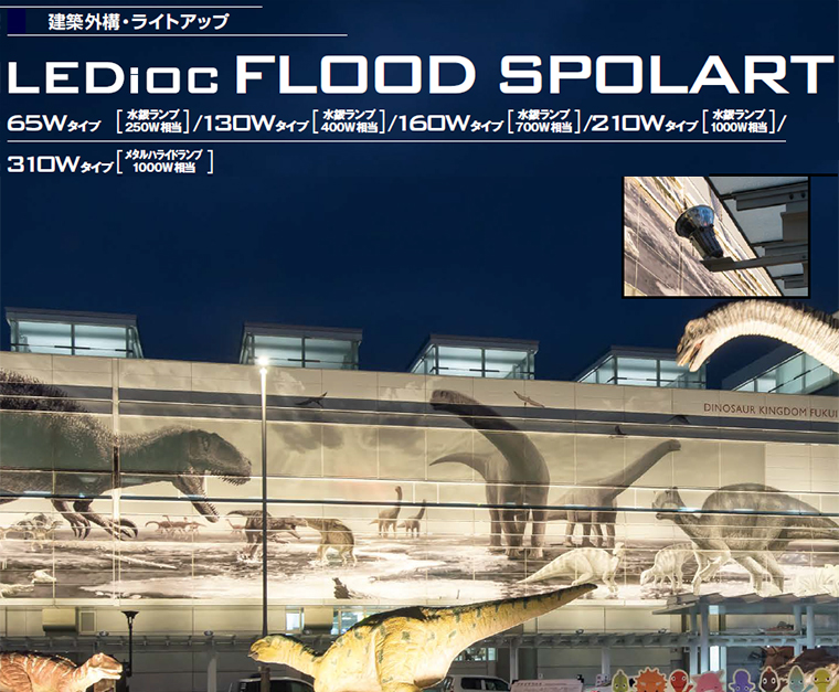 ڴŵۥܡ ǥå եå ݥ顼