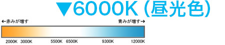 6000K（昼光色）